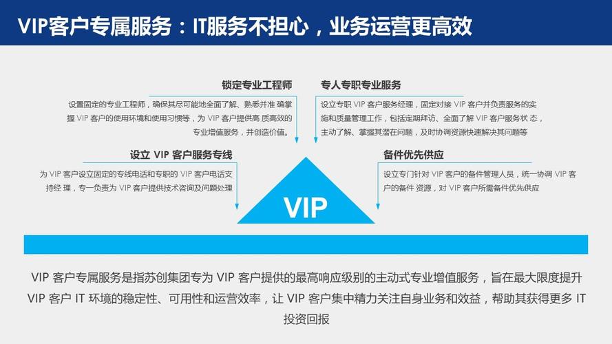 专属权益安全保障 VIP 服务强化安全措施，提供个性化服务与多样订阅方案