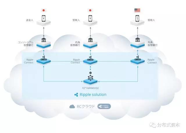 数字货币的生态建设与社区支持_数字货币生态建设是什么意思_数字货币生态应用